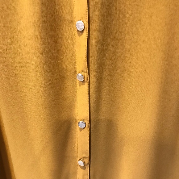 Jealous Tomato mustard and black sheer blouse - Picture 6 of 6